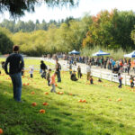 Kelsey Creek Farm Park