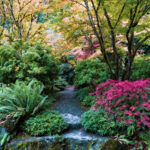 Bellevue Botanical Garden