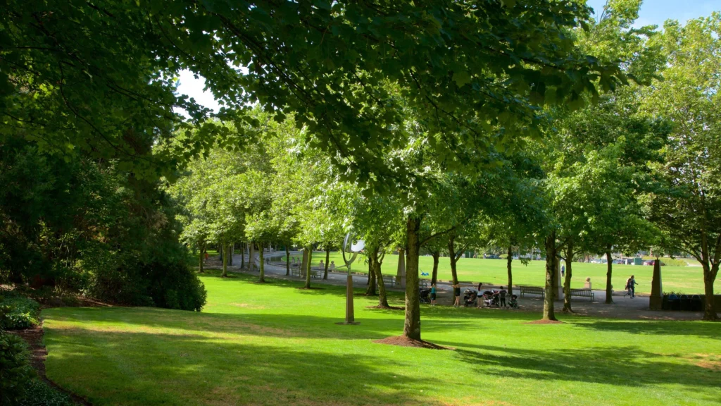 Downtown Park