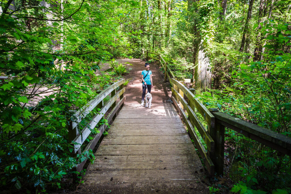 Free Guided Nature Walks