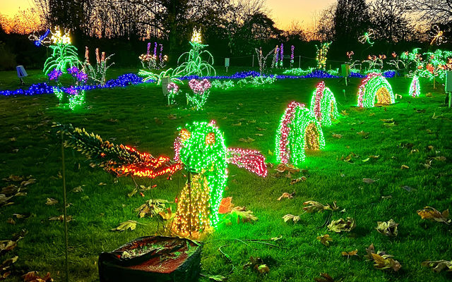 Garden D’ Lights