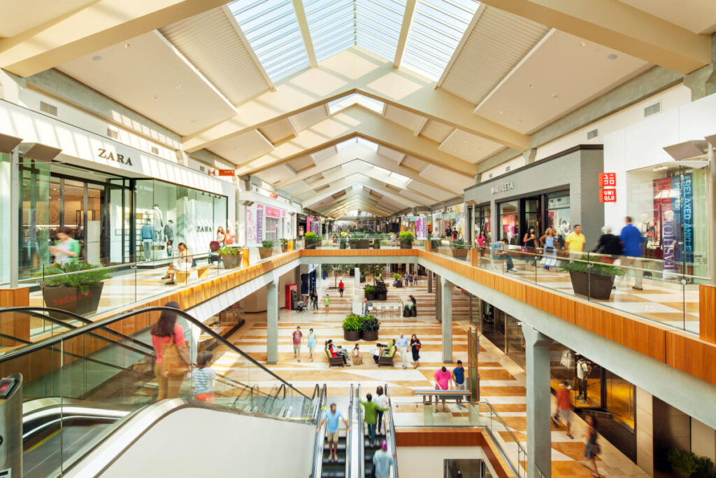 Shopping and Daily Essentials